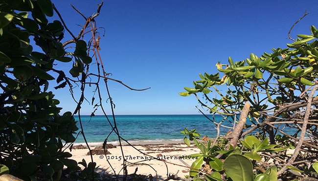 The Beach Behind